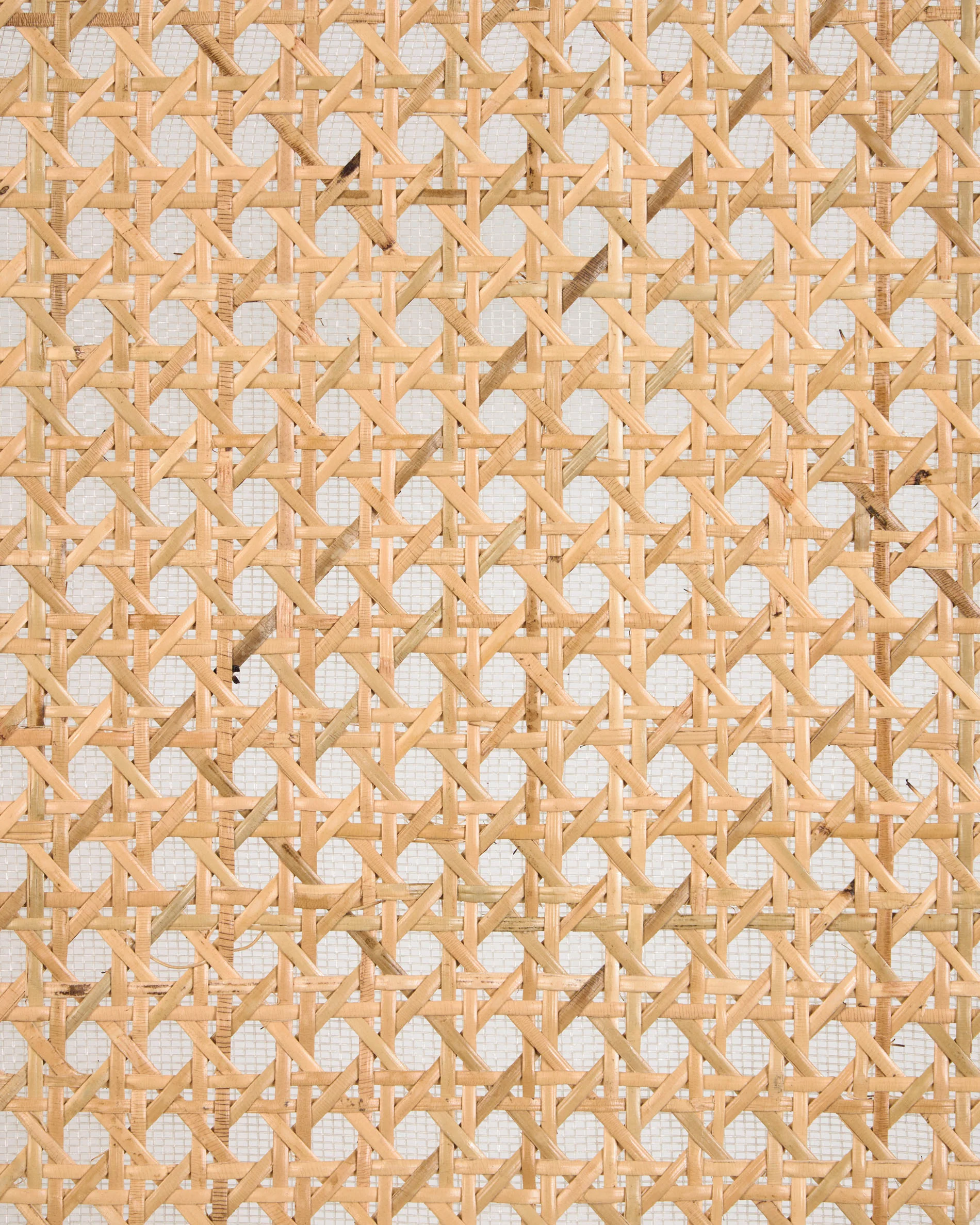Romane chair in solid beech with natural finish, ash veneer and rattan - Image 8